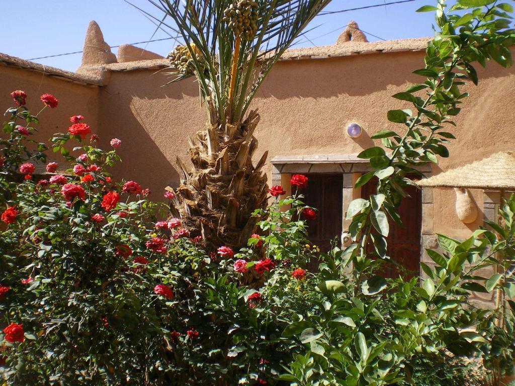 Maison D' Hotes Ait Hmid Nkob Exterior foto