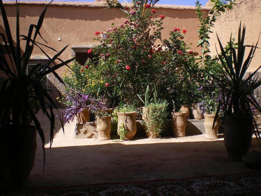 Maison D' Hotes Ait Hmid Nkob Exterior foto