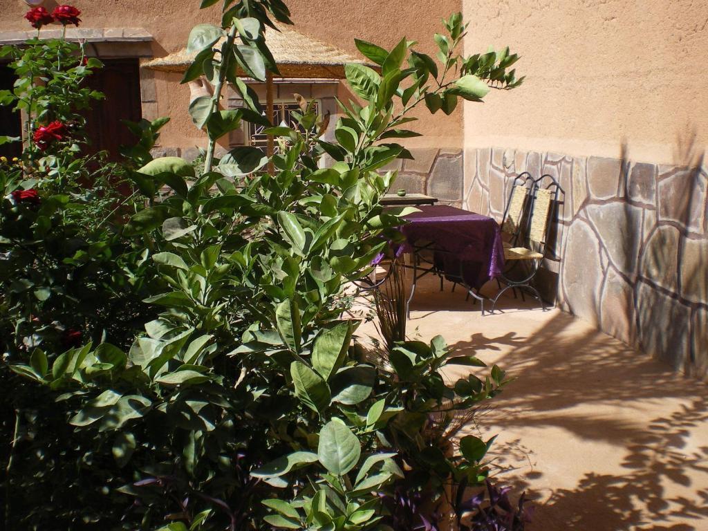 Maison D' Hotes Ait Hmid Nkob Exterior foto