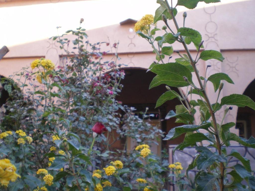Maison D' Hotes Ait Hmid Nkob Exterior foto